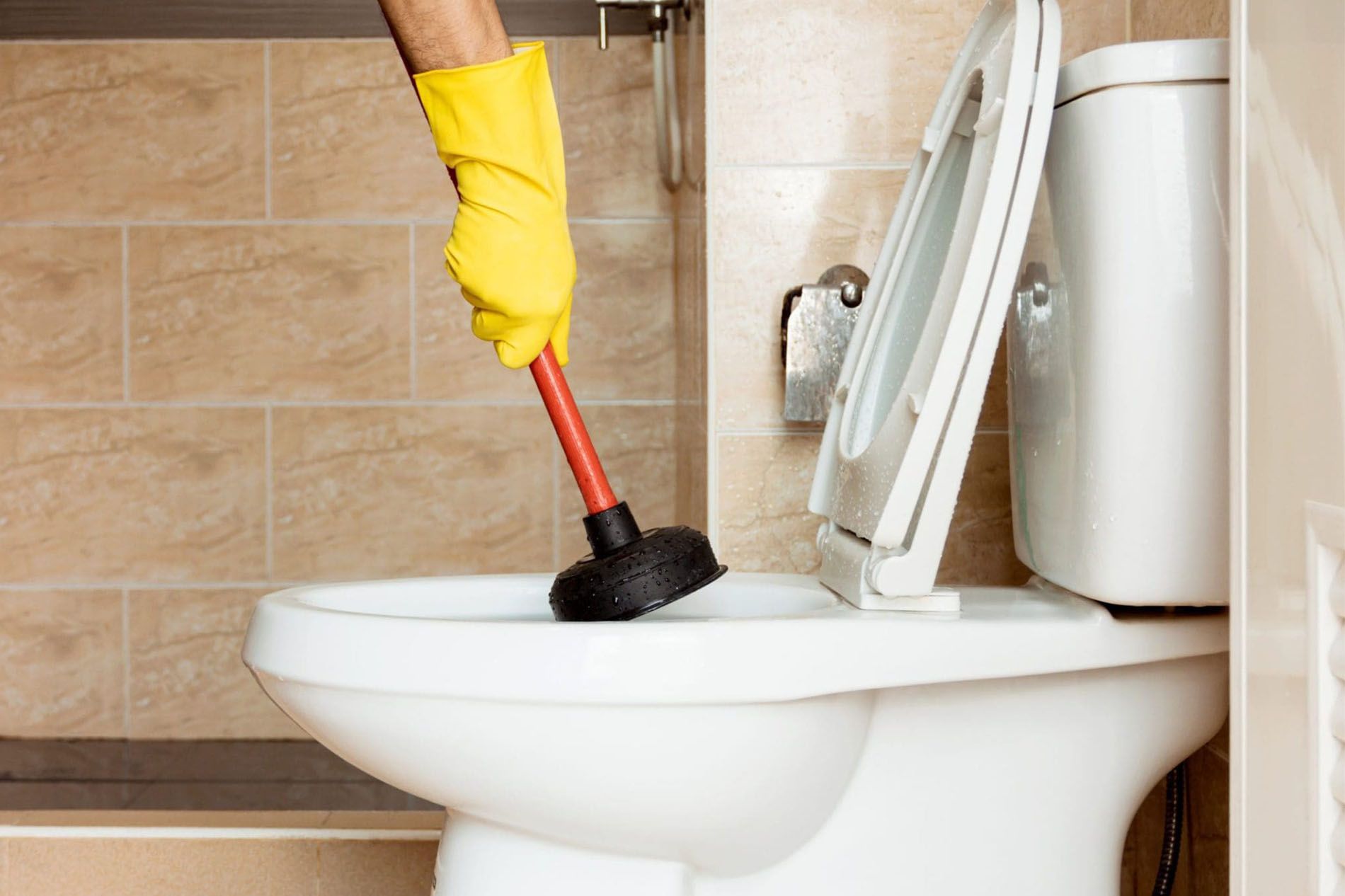 Clogged Toilet Repair 1